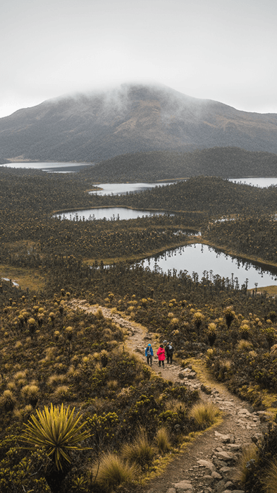 Senderos ecológicos en reserva natural
